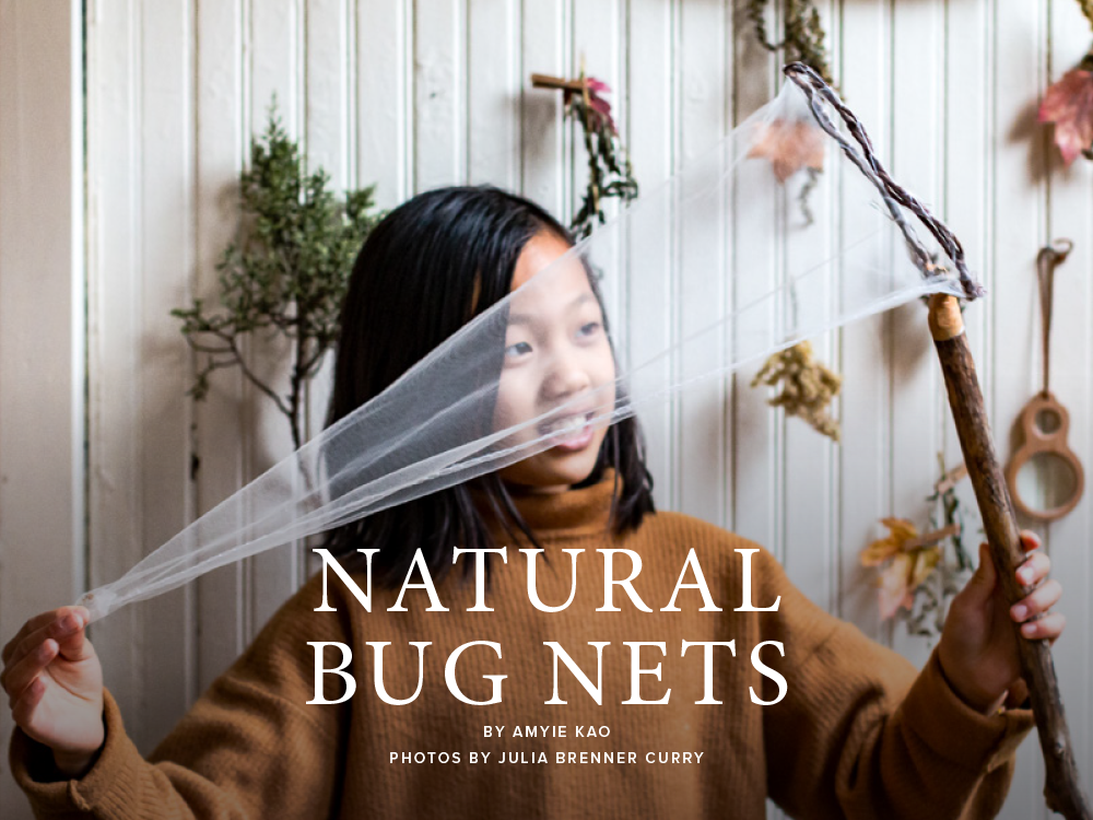 CREATING WITH NATURE Digital Bundle