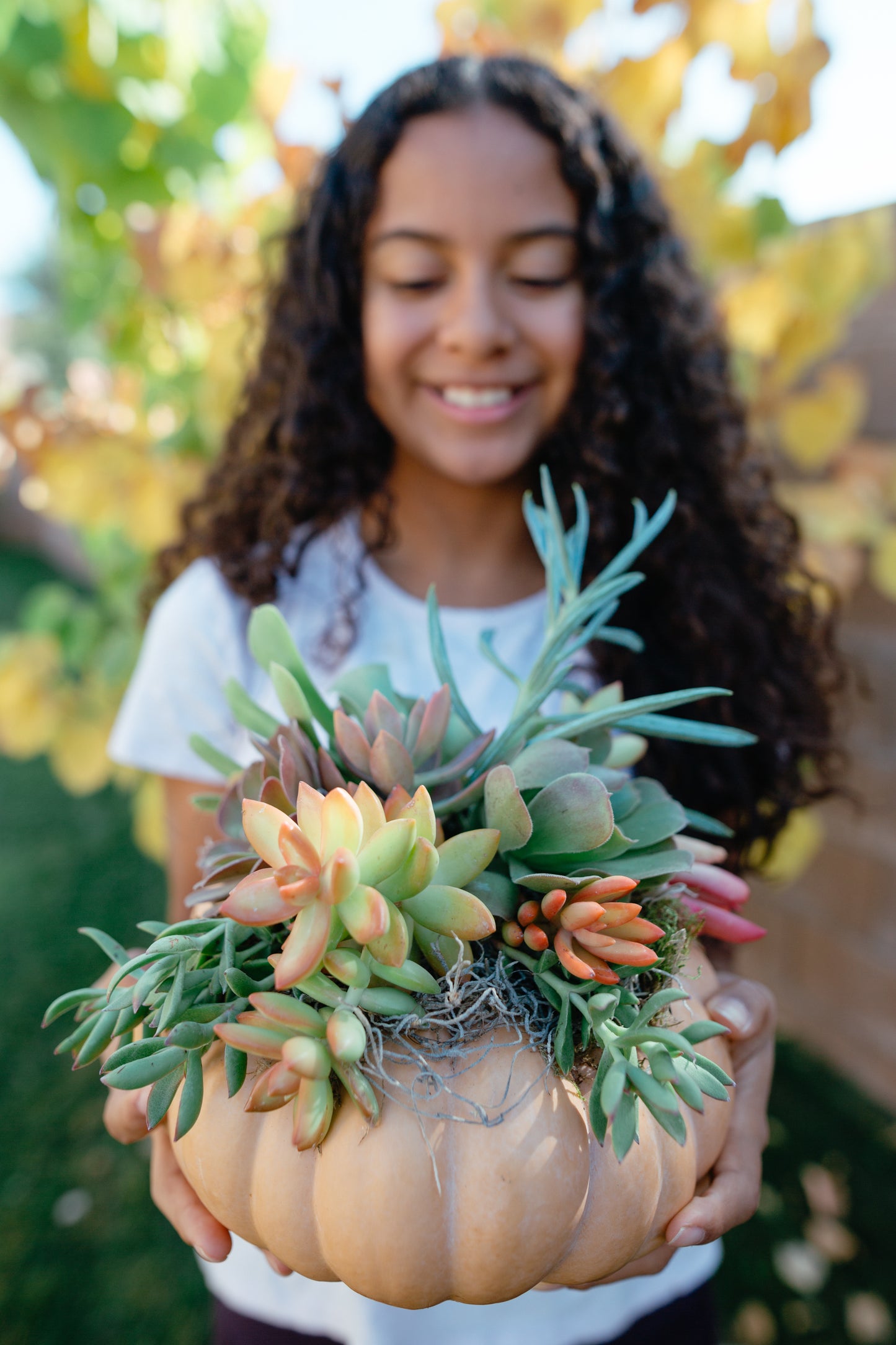 CREATING WITH NATURE Digital Bundle