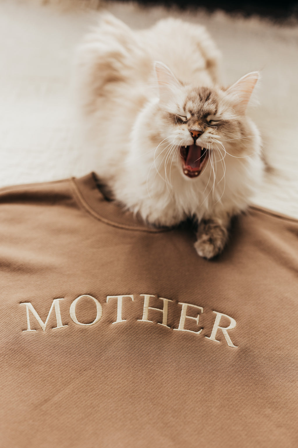 MOTHER Elwood Classic Core Crewneck (Pre-Order)