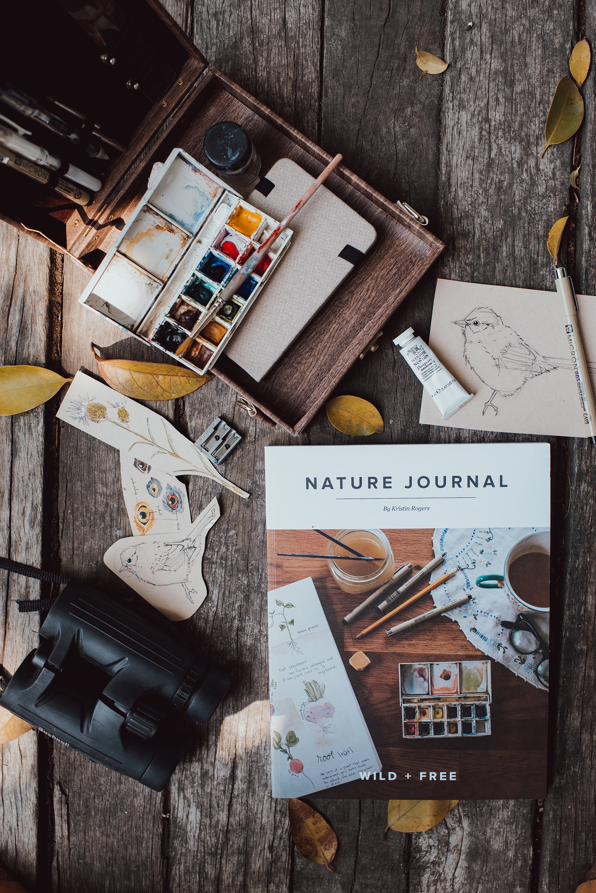 Nature Journaling — Kristin Link